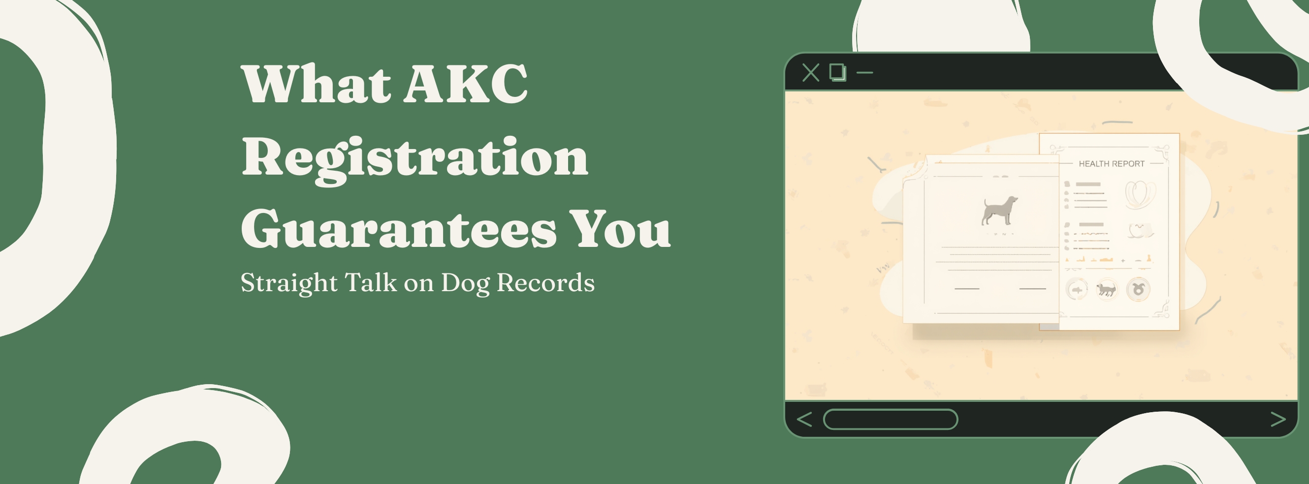 What AKC Registration Actually Guarantees - Hint: Not Health